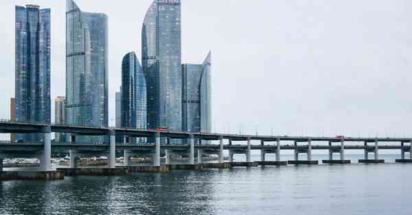 安卓有没有shadowrocket