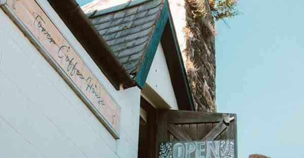 粉色纸飞机ssr官网续费