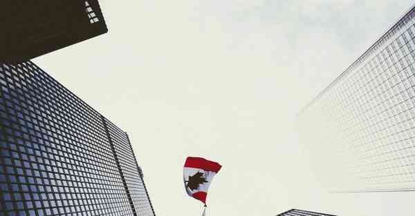 安卓手机怎么挂外网