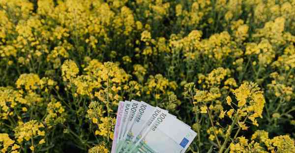 苹果旋风加速器app下载