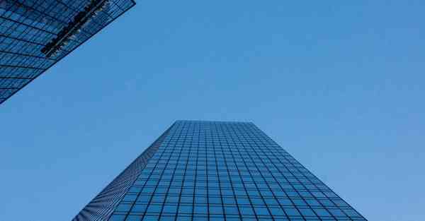 布谷加速器下不了