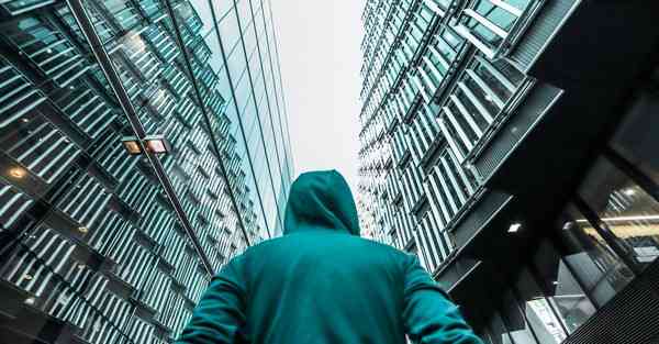 蘑菇加速器pc版