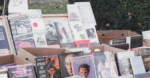 加速器也可以上外网吗