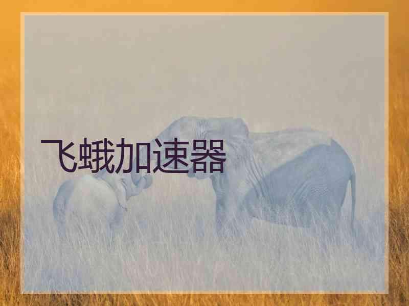 飞蛾加速器 飞蛾加速器