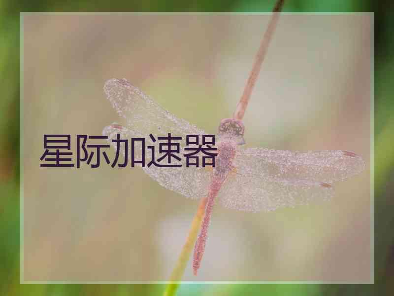 星际加速器 星际加速器