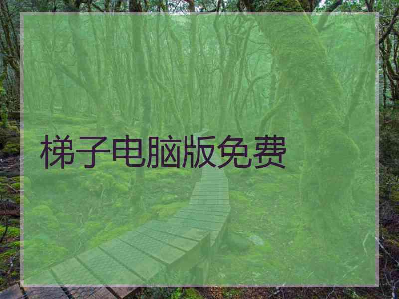 梯子电脑版免费