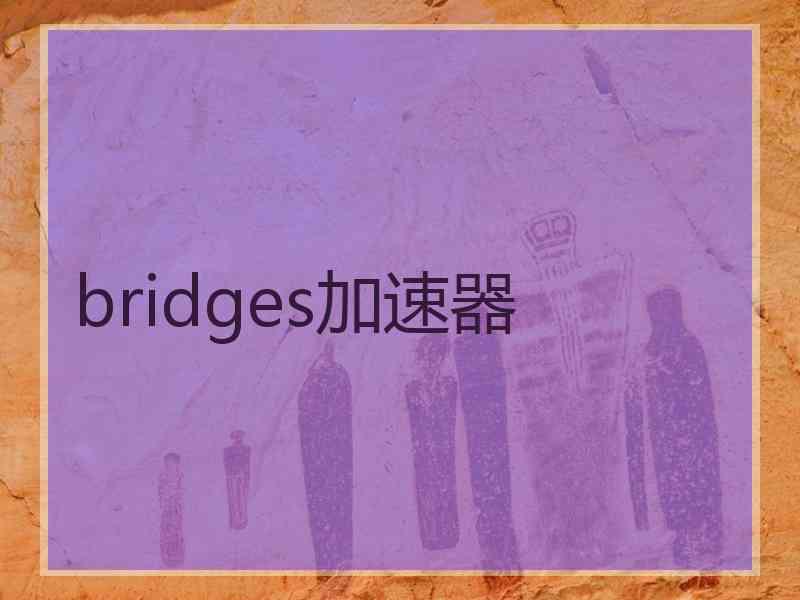 bridges加速器