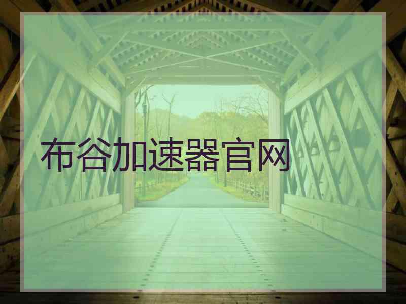 布谷加速器官网