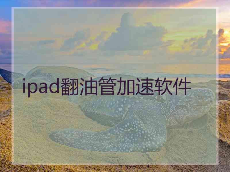 ipad翻油管加速软件