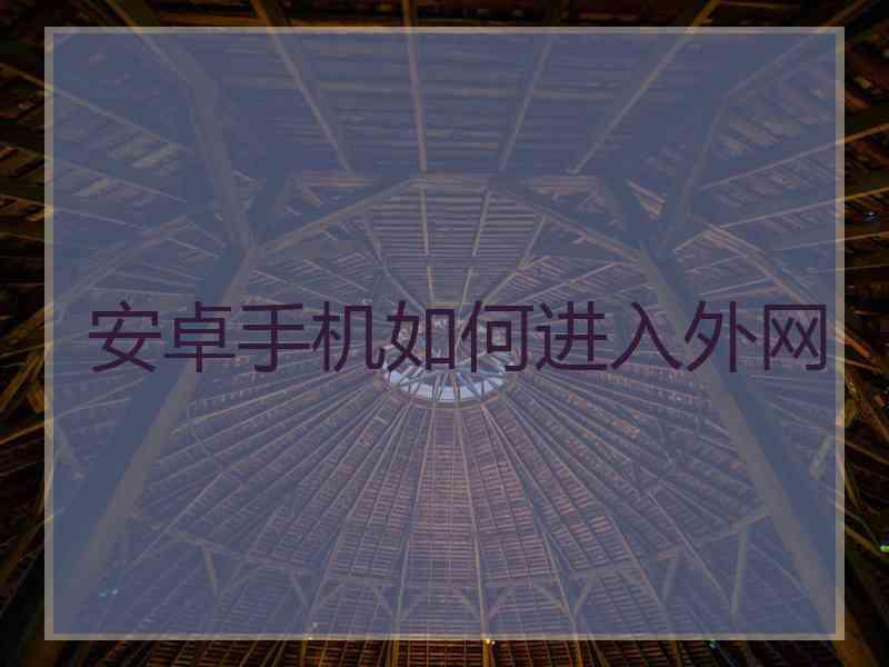 安卓手机如何进入外网