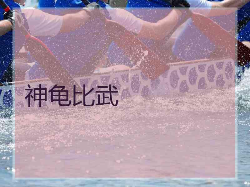 神龟比武
