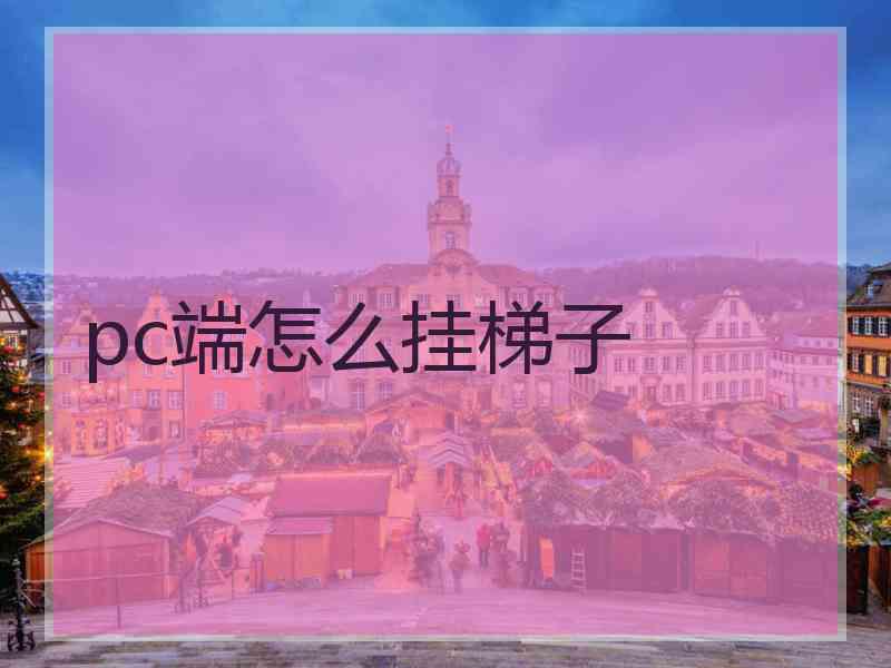 pc端怎么挂梯子