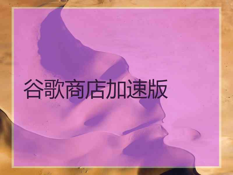谷歌商店加速版