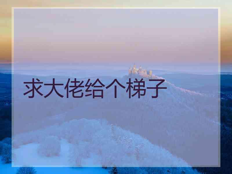 求大佬给个梯子