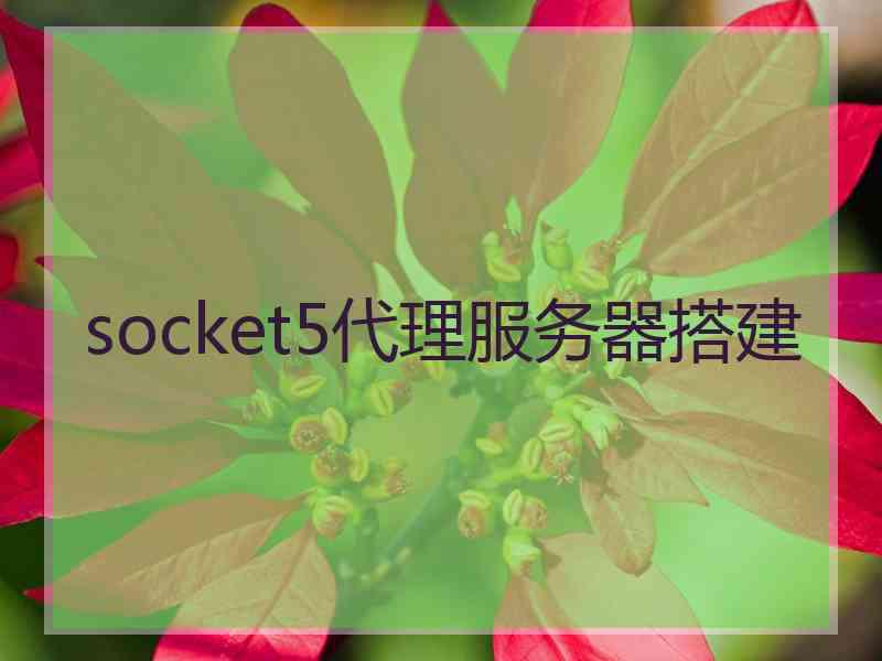 socket5代理服务器搭建