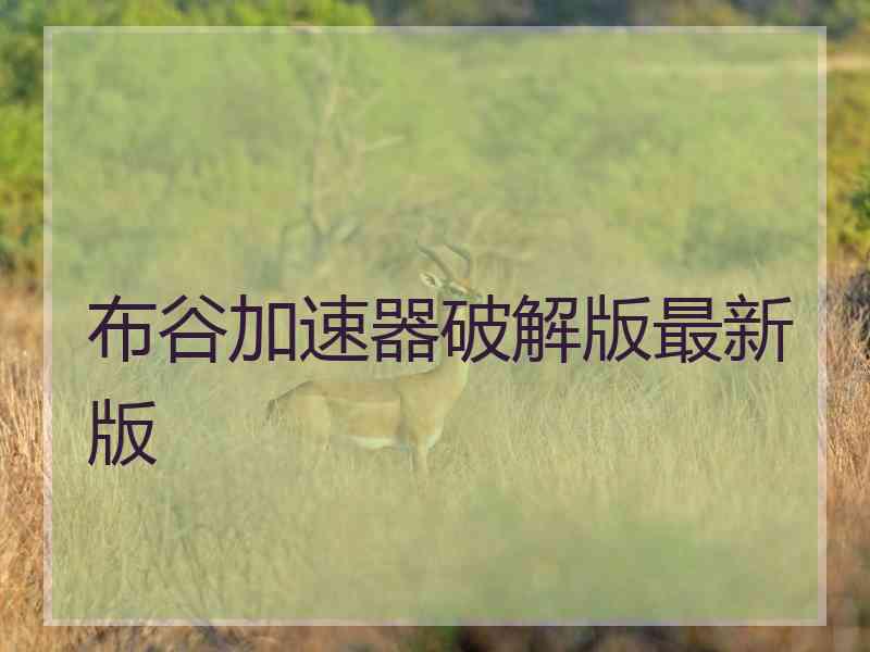布谷加速器破解版最新版