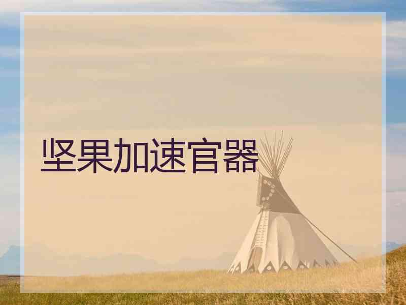 坚果加速官器