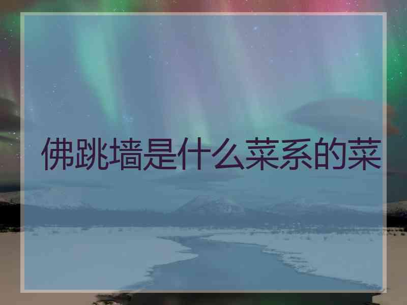 佛跳墙是什么菜系的菜