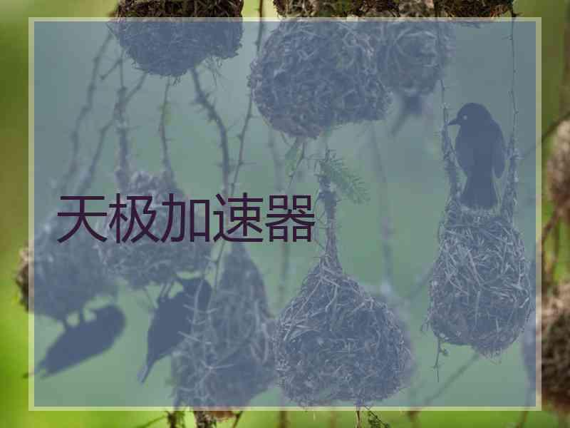 天极加速器