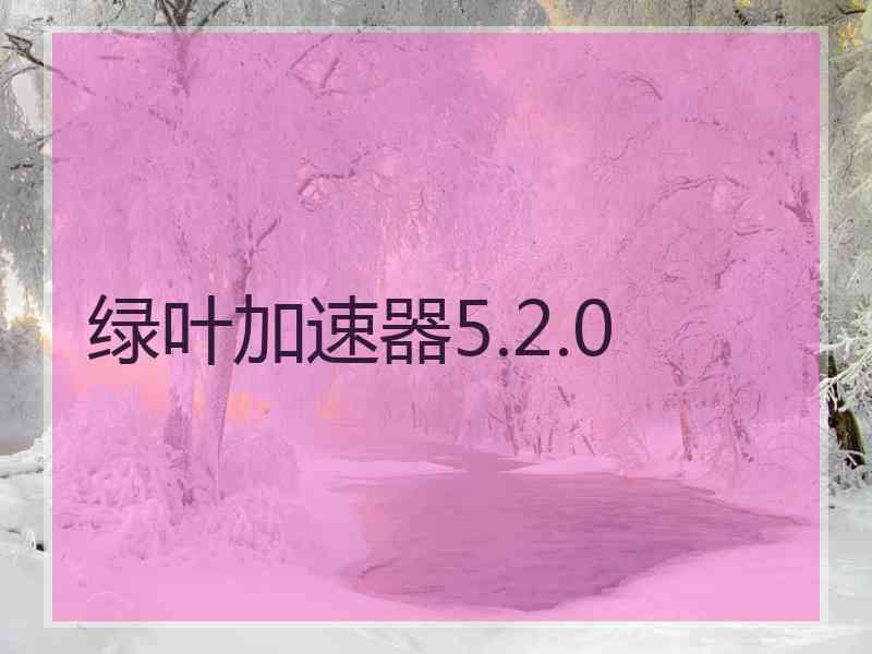 绿叶加速器5.2.0