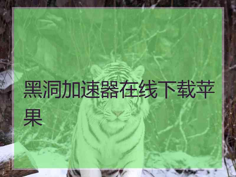 黑洞加速器在线下载苹果