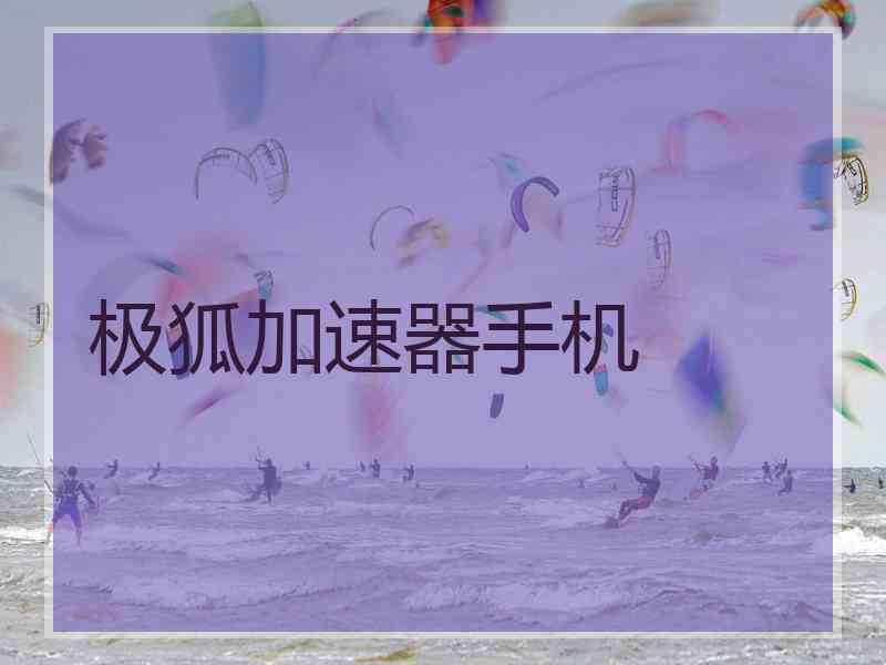 极狐加速器手机