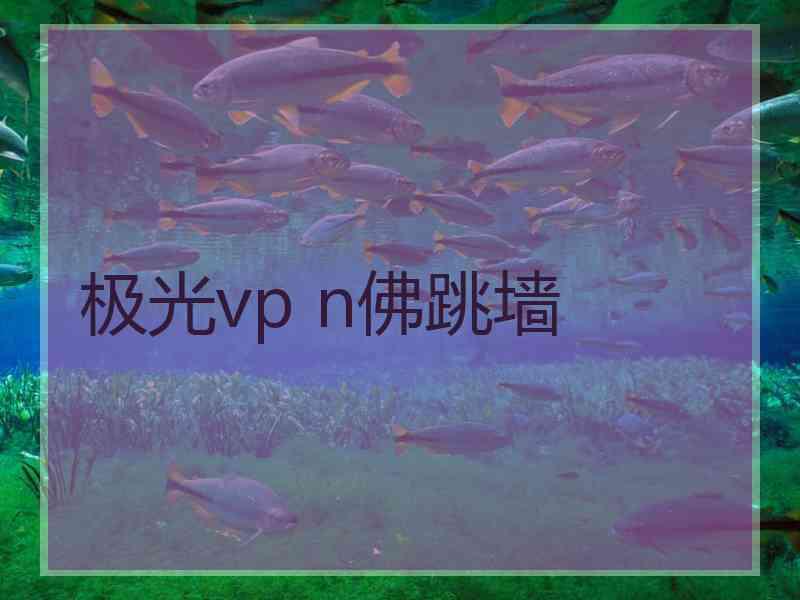 极光vp n佛跳墙