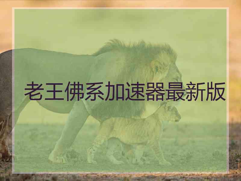 老王佛系加速器最新版