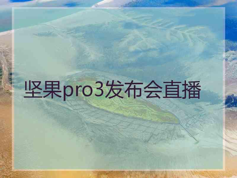 坚果pro3发布会直播