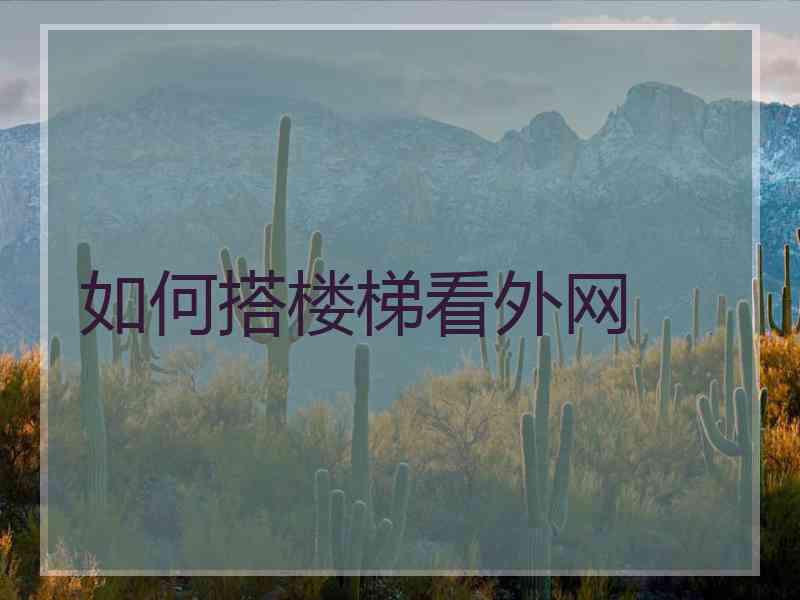 如何搭楼梯看外网