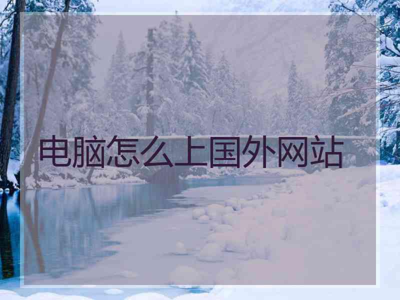 电脑怎么上国外网站
