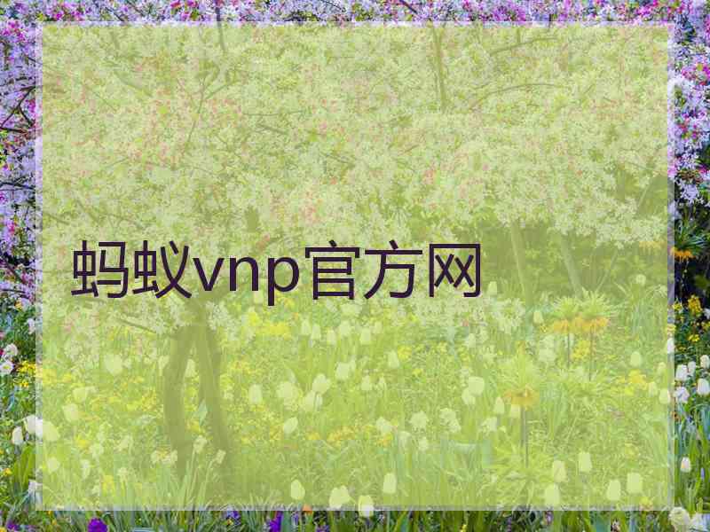 蚂蚁vnp官方网