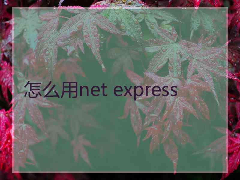 怎么用net express