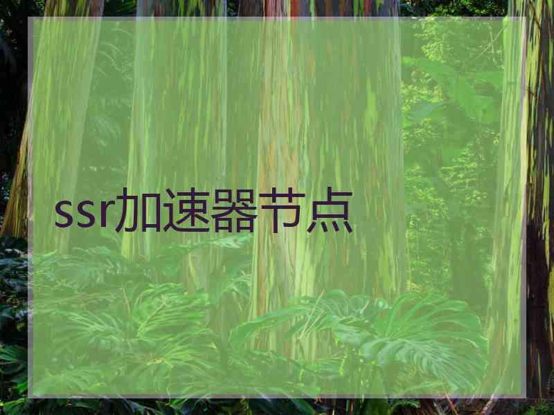 ssr加速器节点