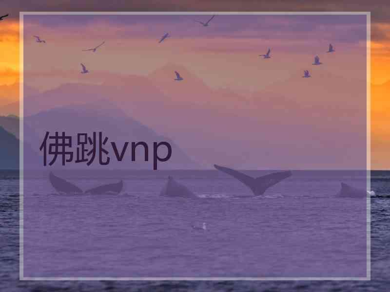 佛跳vnp