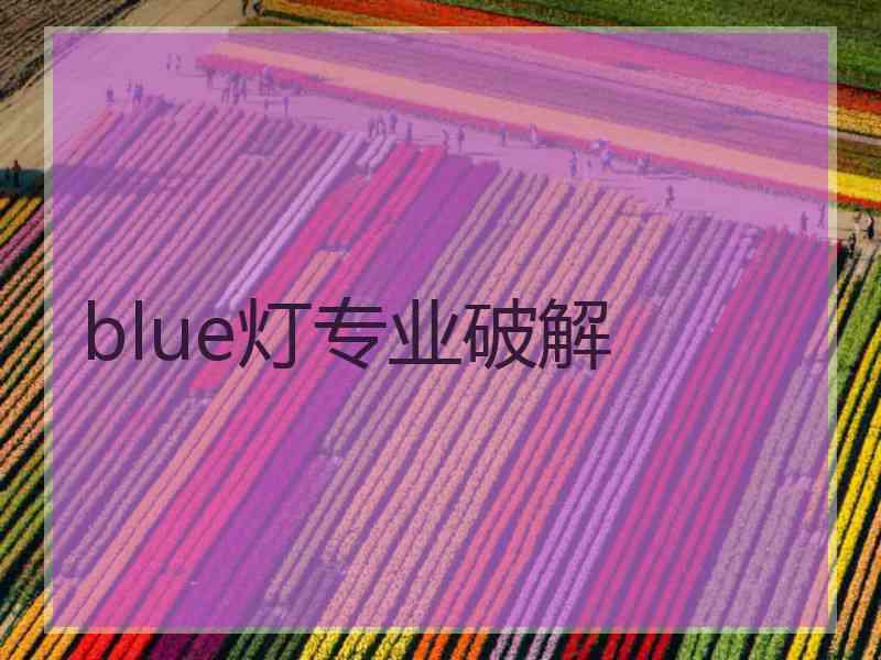 blue灯专业破解