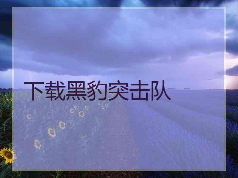 下载黑豹突击队