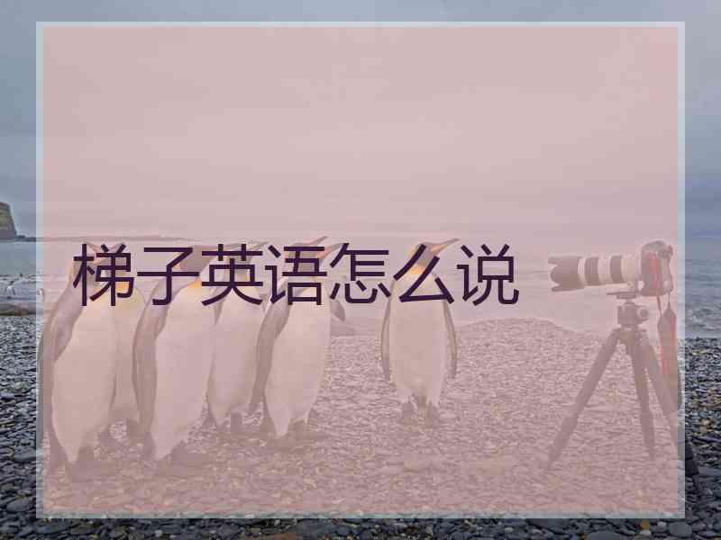 梯子英语怎么说