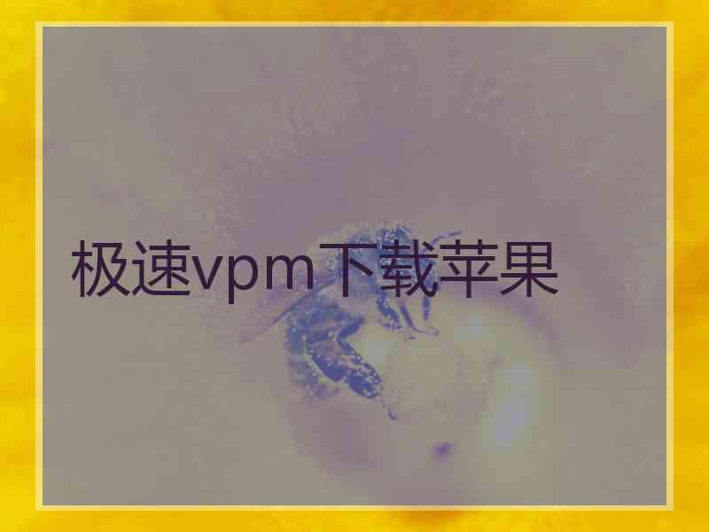 极速vpm下载苹果
