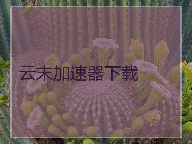 云末加速器下载
