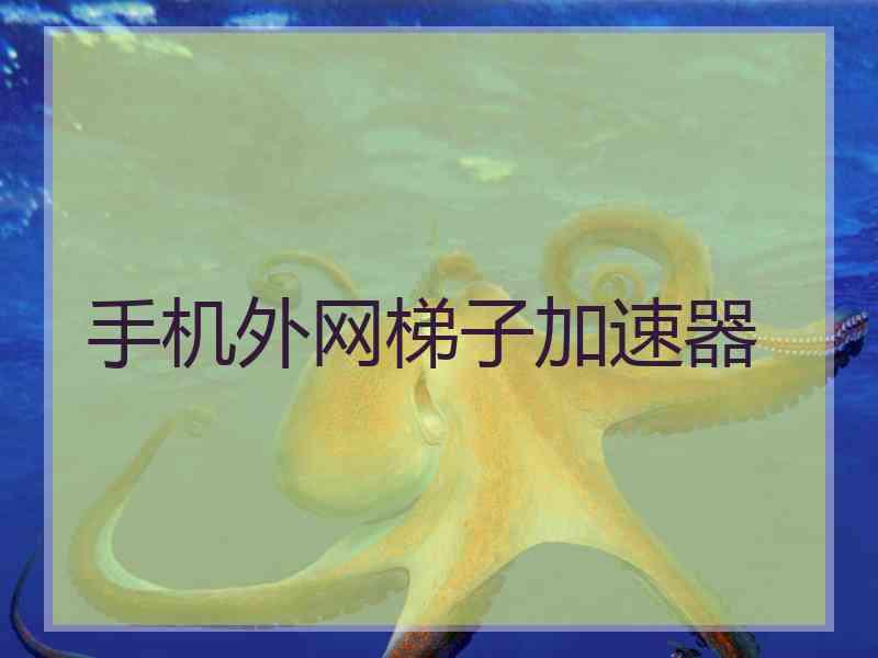 手机外网梯子加速器
