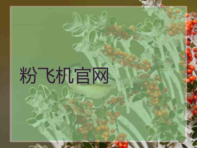 粉飞机官网