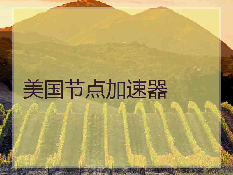 美国节点加速器