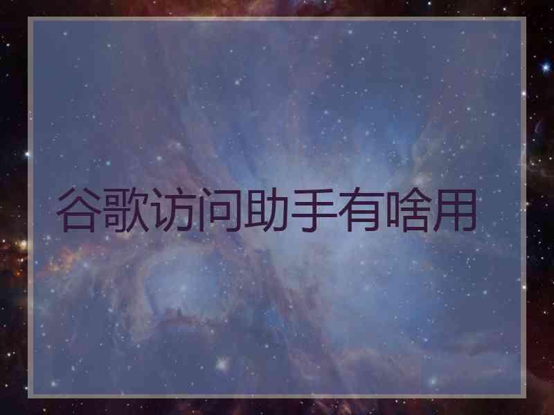 谷歌访问助手有啥用