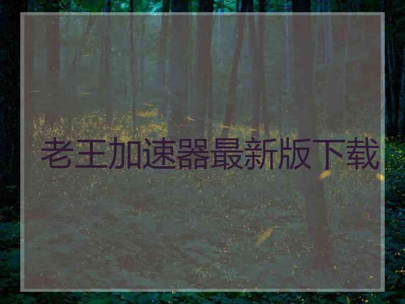 老王加速器最新版下载
