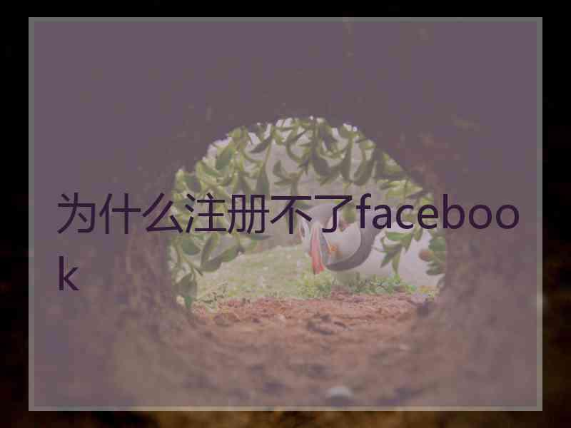 为什么注册不了facebook