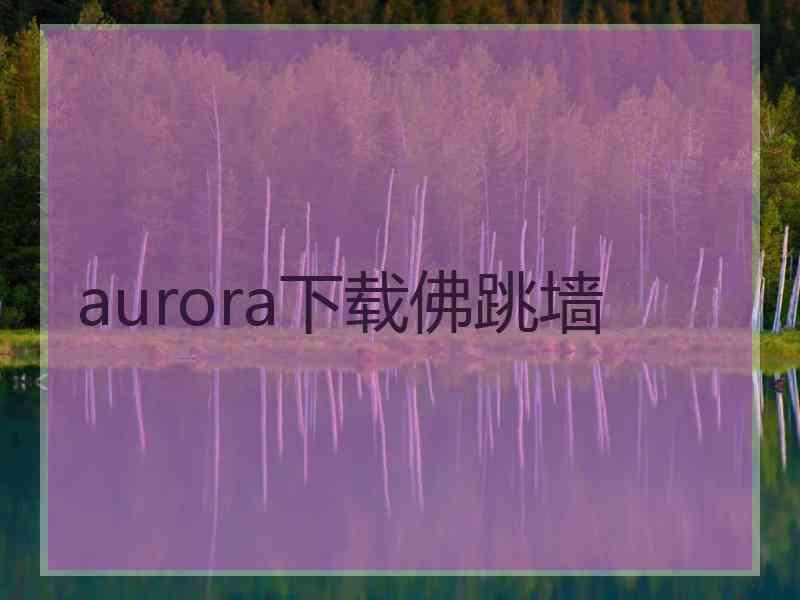 aurora下载佛跳墙