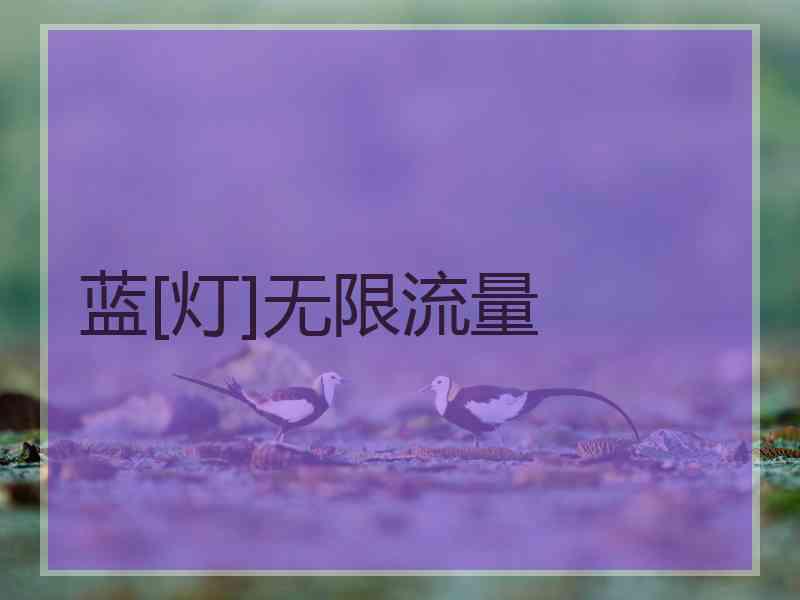 蓝[灯]无限流量