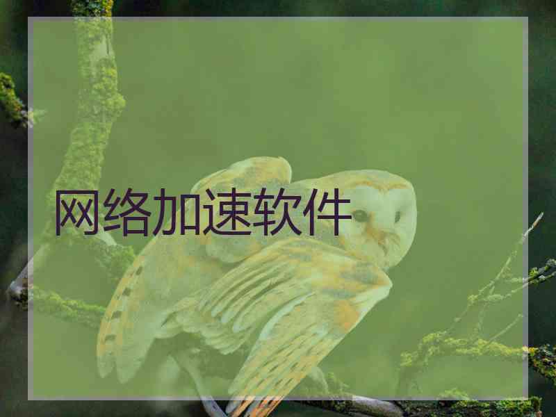 网络加速软件