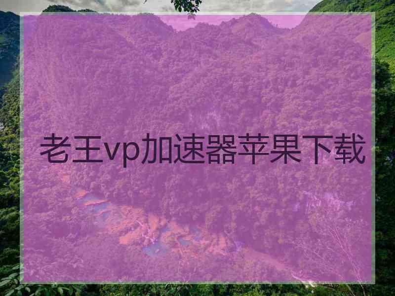 老王vp加速器苹果下载